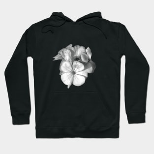 Bloom and Blossom Hoodie